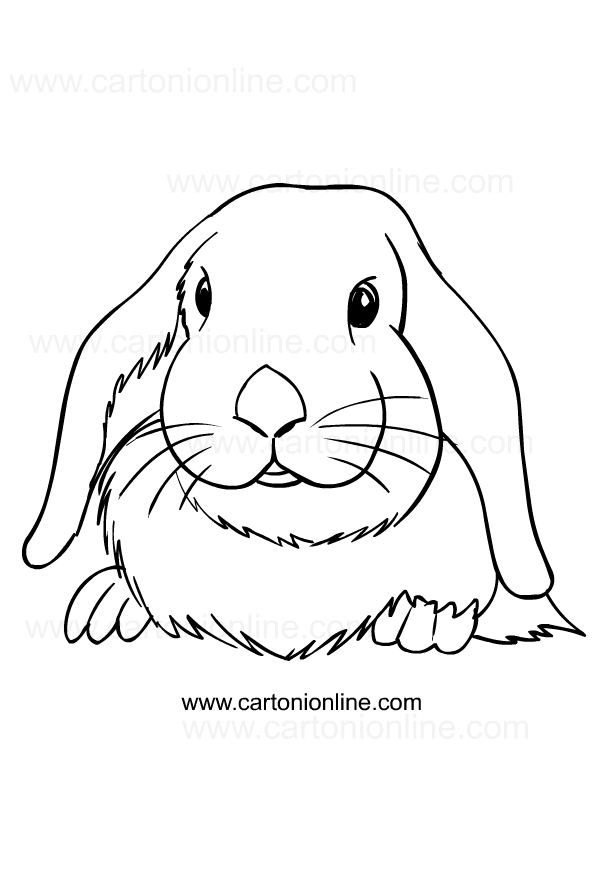 Dibujo de conejos para imprimir y colorear