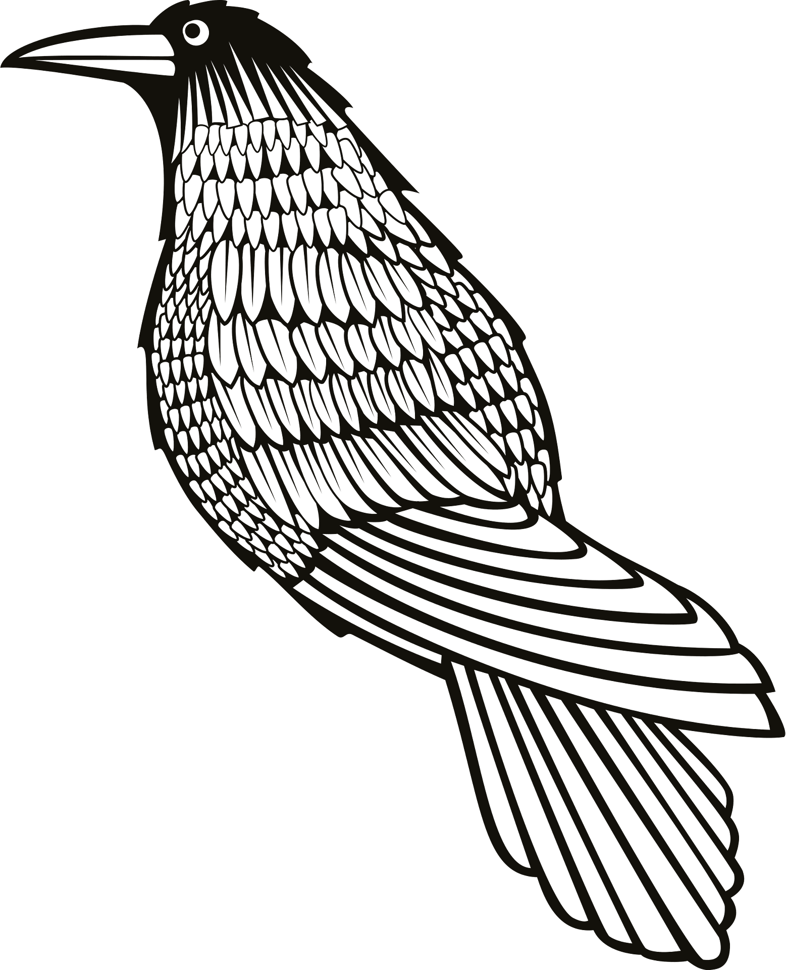 Disegno da colorare di un corvo