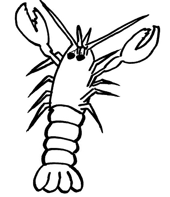Drawing 2 from Shellfish coloring page to print and coloring