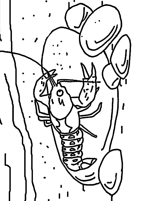 Drawing 19 from Shellfish coloring page to print and coloring