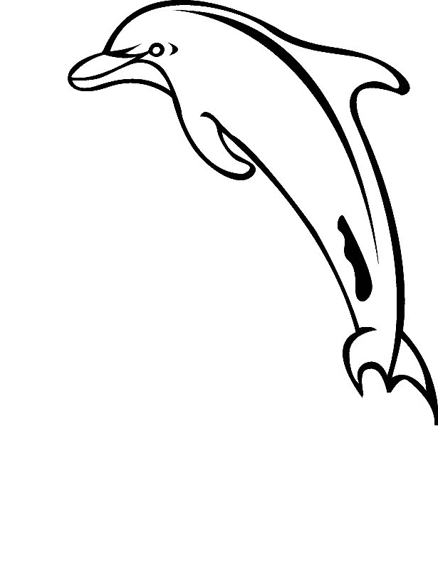 Disegno 3 di delfini da stampare e colorare