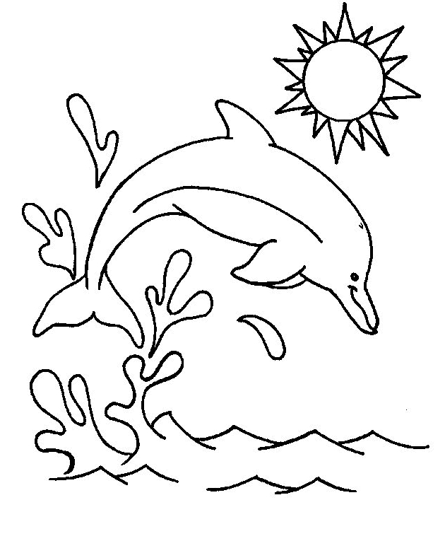 Disegno 14 di delfini da stampare e colorare