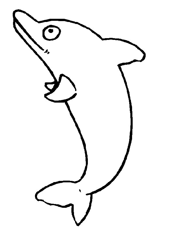 Disegno 22 di delfini da stampare e colorare