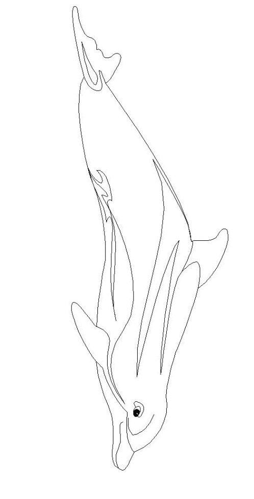 Drawing 23 from dolphins coloring page to print and coloring