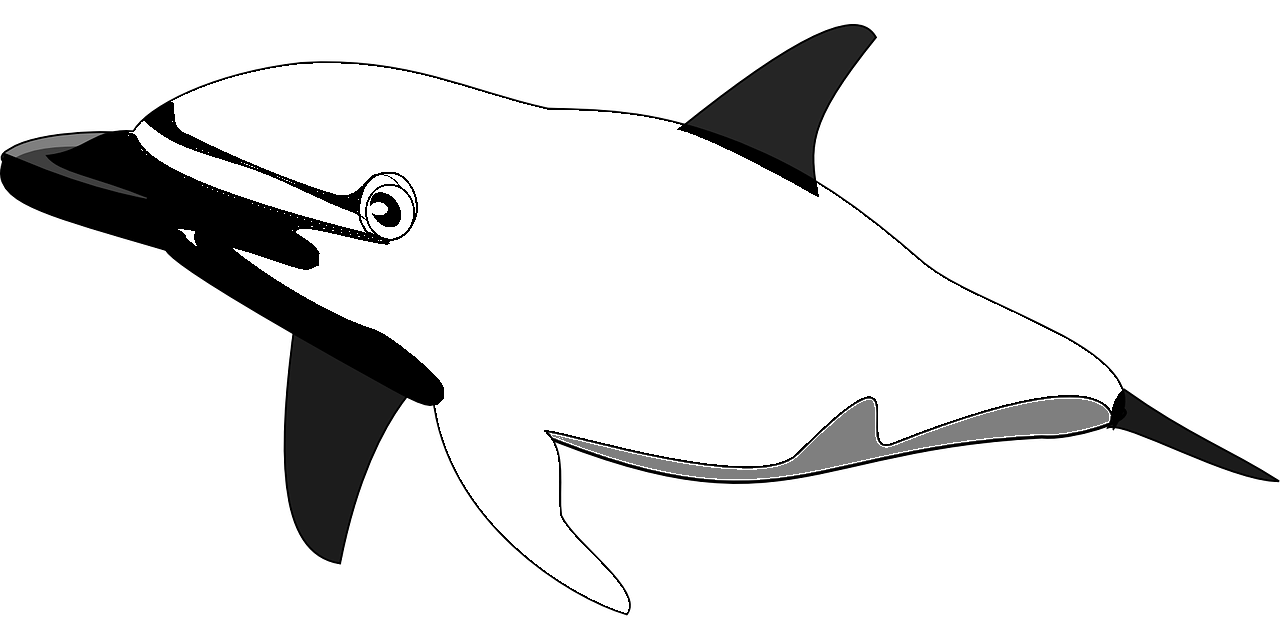 Disegno da colorare di delfino n.34