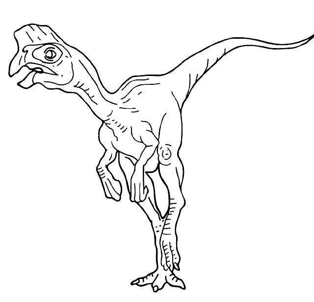 Dibujo 10 de dinosaurios para imprimir y colorear