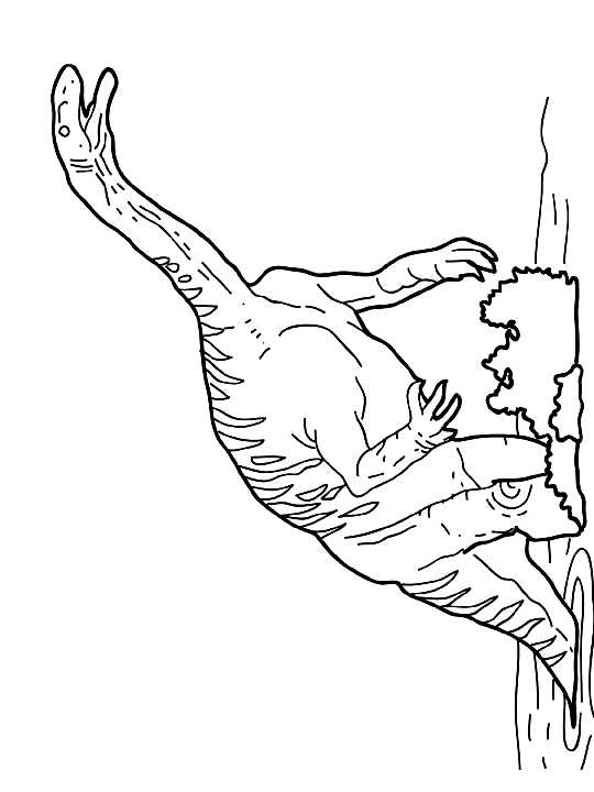 Desenho 11 de Dinossauros para imprimir e colorir