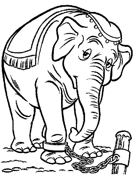 Desenho 17 de Dumbo para imprimir e colorir