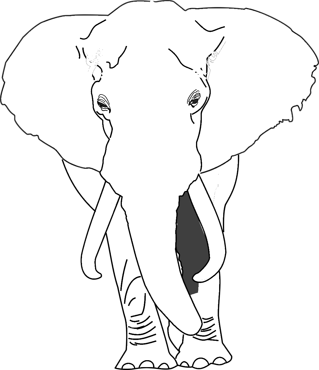 Disegno da colorare di elefante africano realistico frontale
