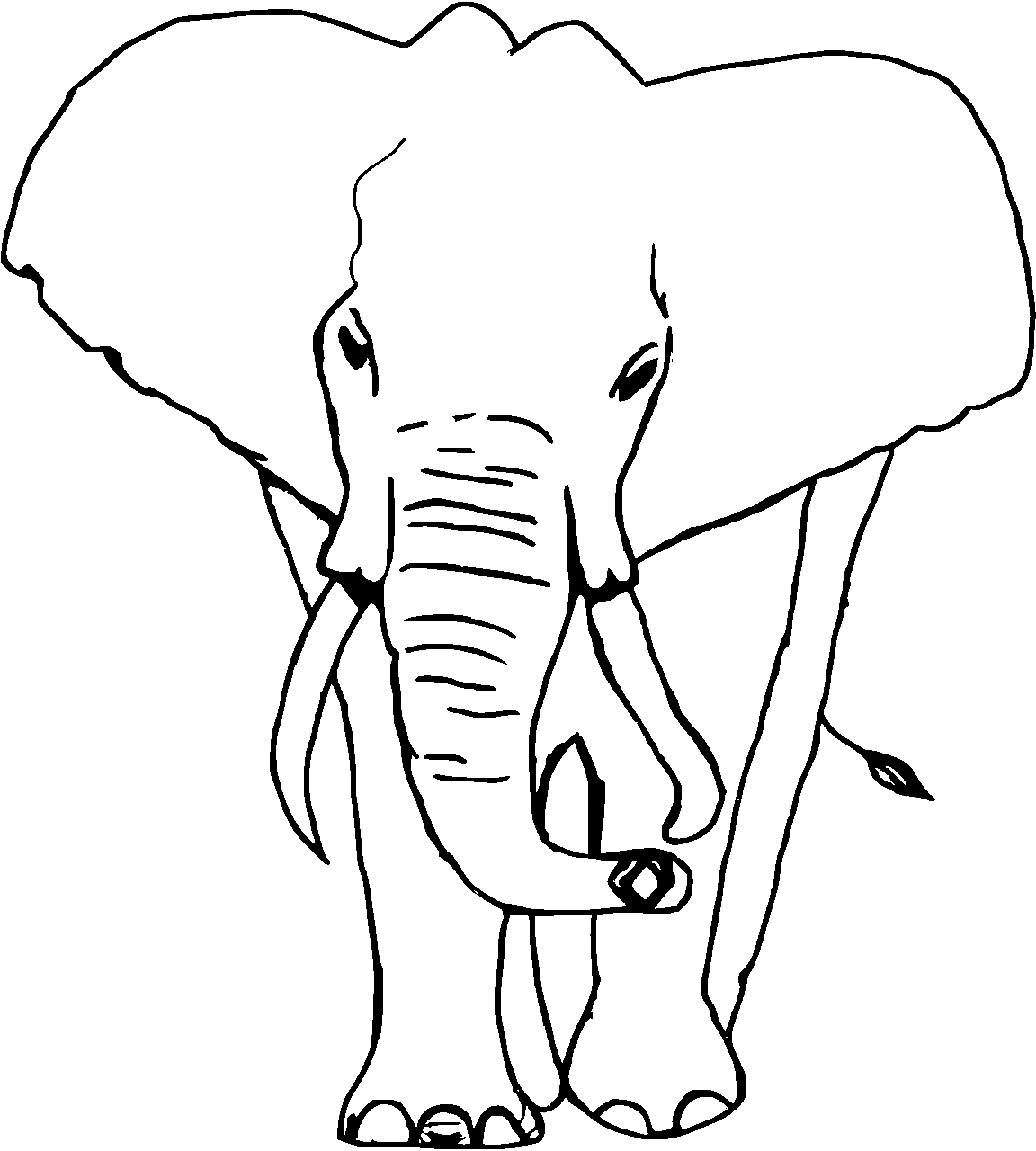 Disegno da colorare di elefante africano realistico frontale