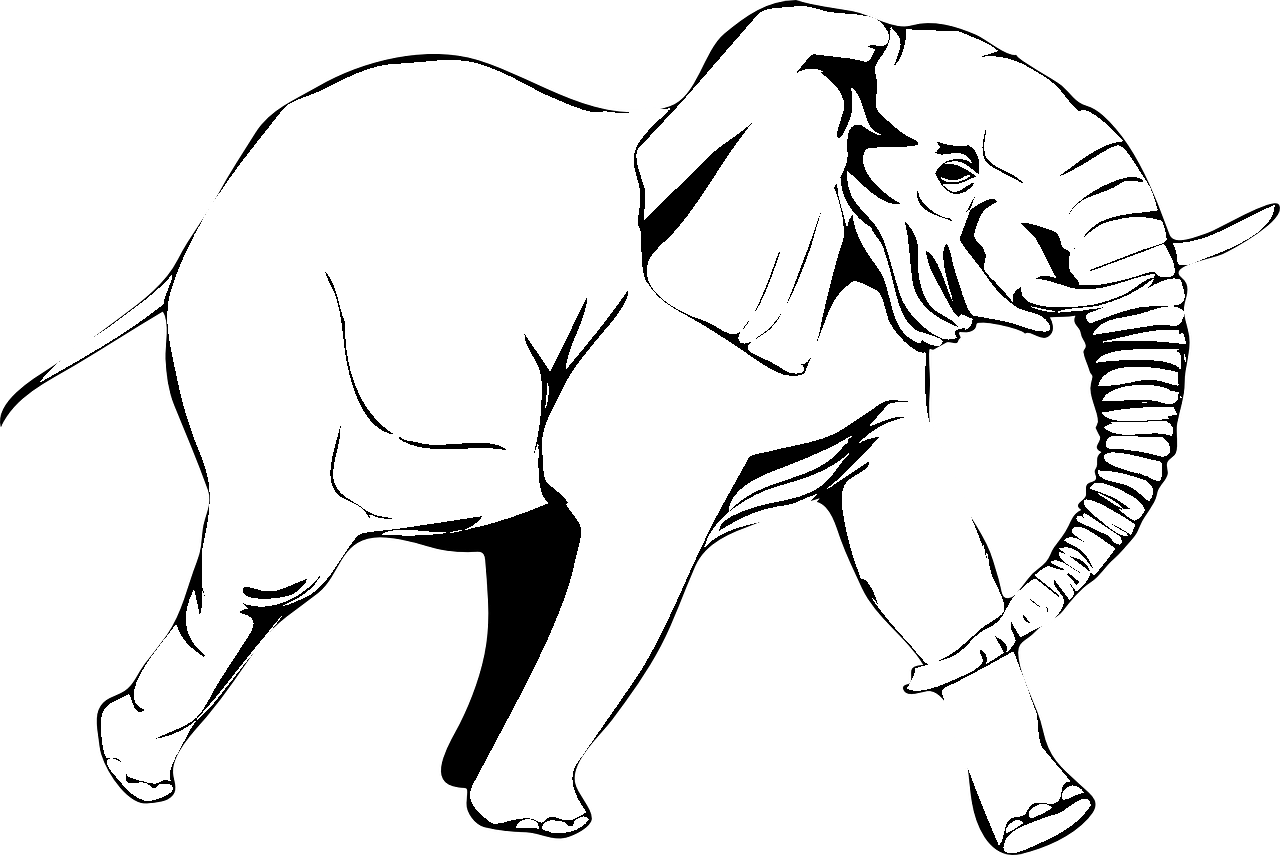 صفحة تلوين الفيل