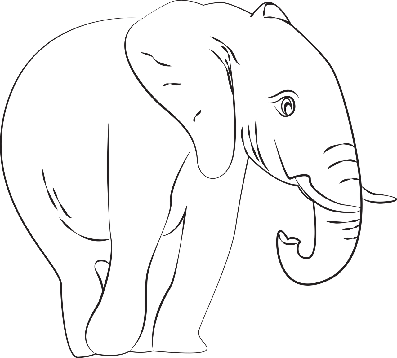 Dibujo de elefante bebé para colorear