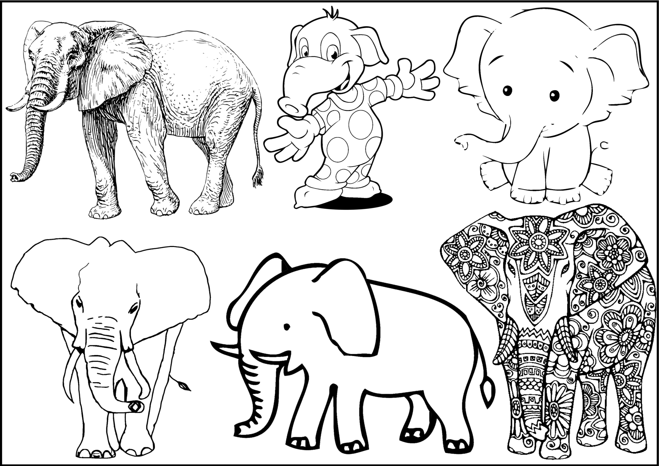 Dibujo de elefante para colorear