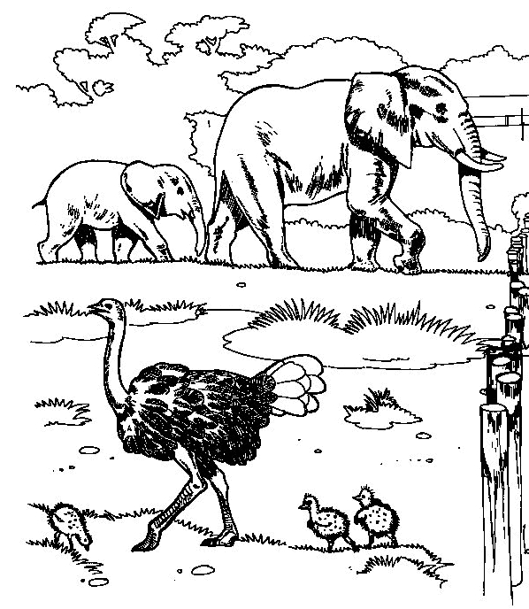 Drawing 12 from elephants coloring page to print and coloring