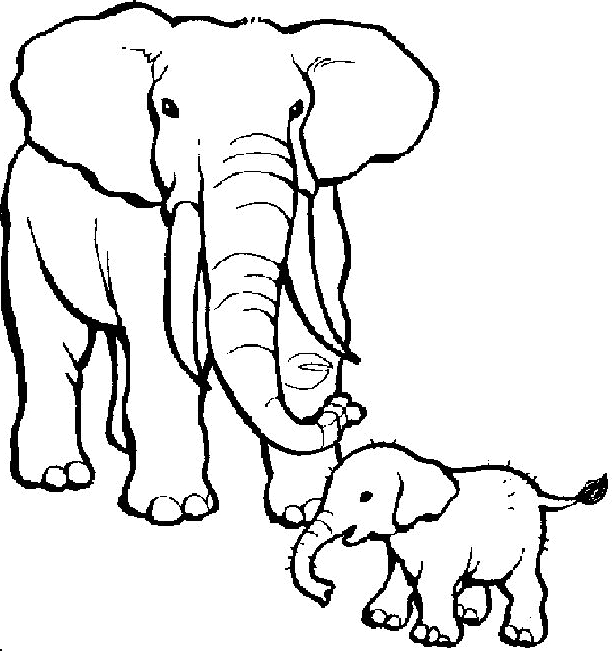Desenho 15 de elefantes para imprimir e colorir