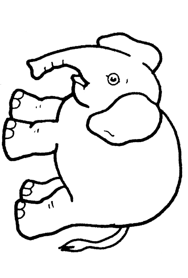 Dibujo de elefantes para imprimir y colorear