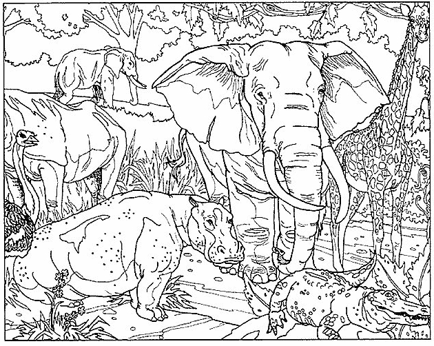 인쇄하고 색칠 할 코끼리 21 마리 그리기