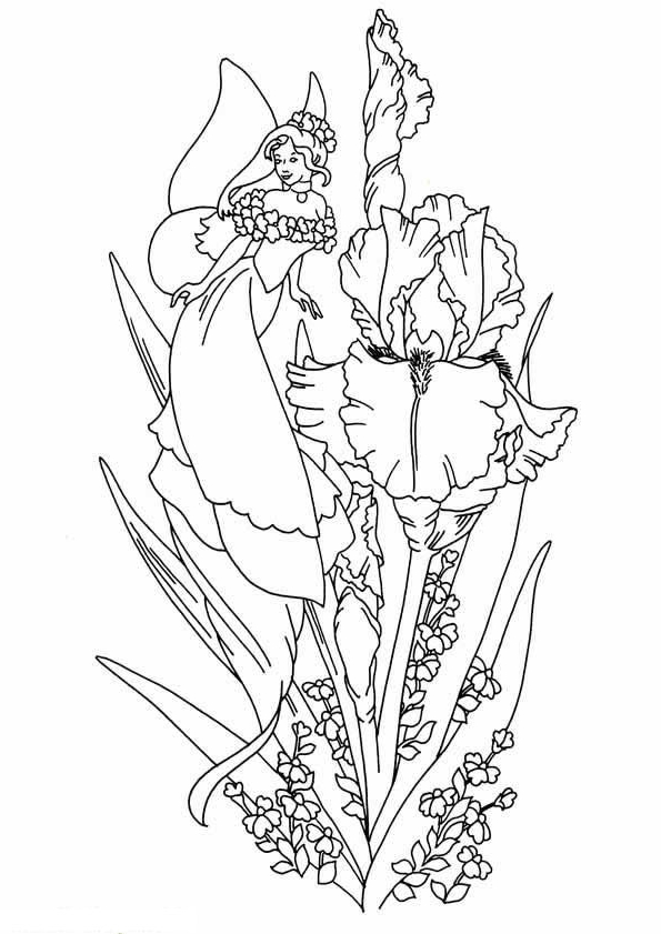 Fairies coloring page to print and coloring - Drawing 3