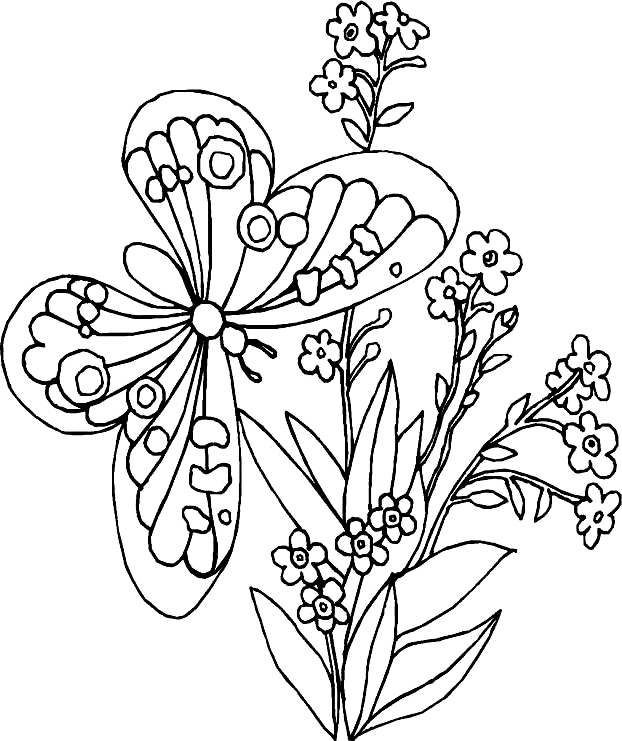 Drawing 1 from butterflies coloring page to print and coloring