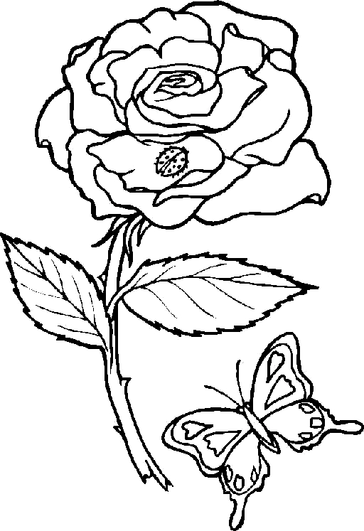 Desen 2 din fluturi pentru a imprima și colora