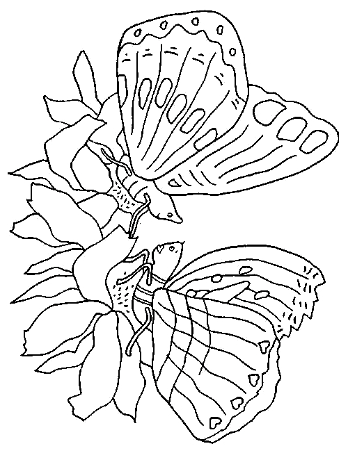 Tekening van 7 vlinders om af te drukken en in te kleuren