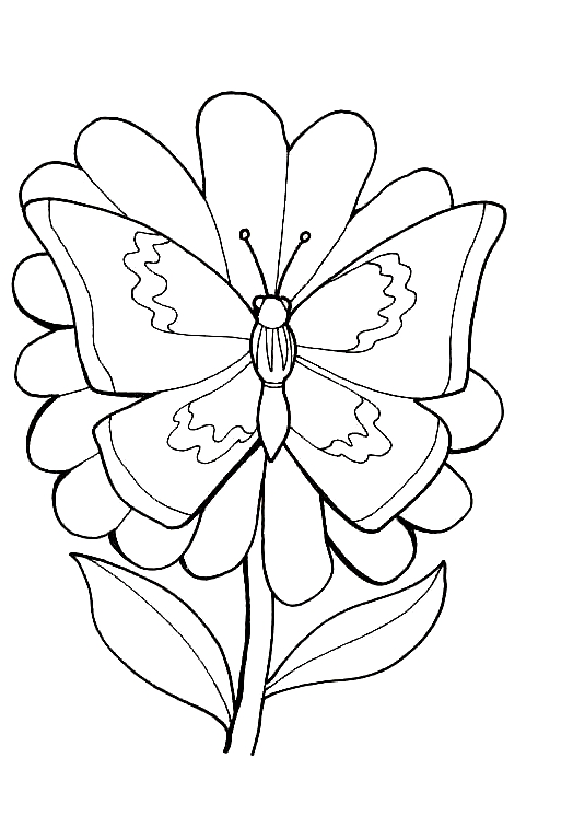 Desenho 14 de borboletas para imprimir e colorir