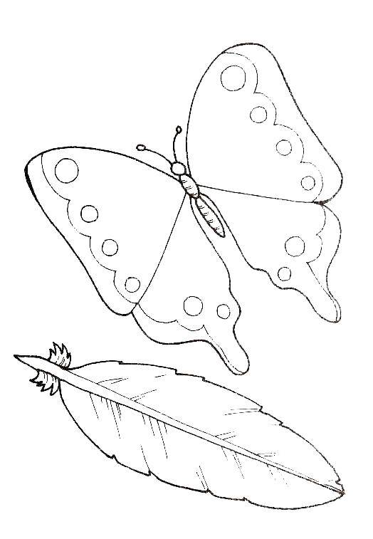 Disegno 15 di farfalle da stampare e colorare