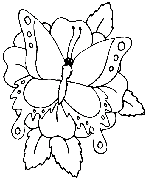 Dibujo 19 de mariposas para imprimir y colorear