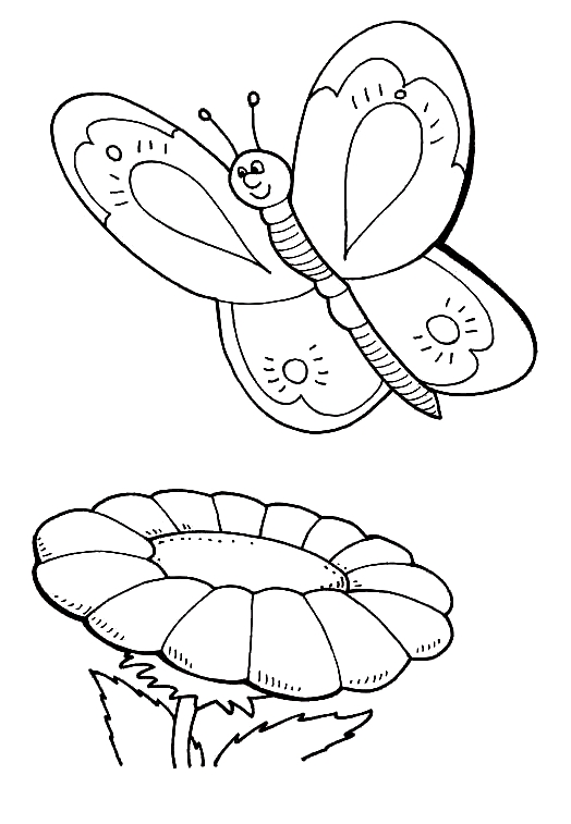 Desenho 22 de borboletas para imprimir e colorir