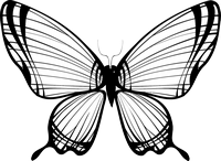 Kleurplaat van een vlinder