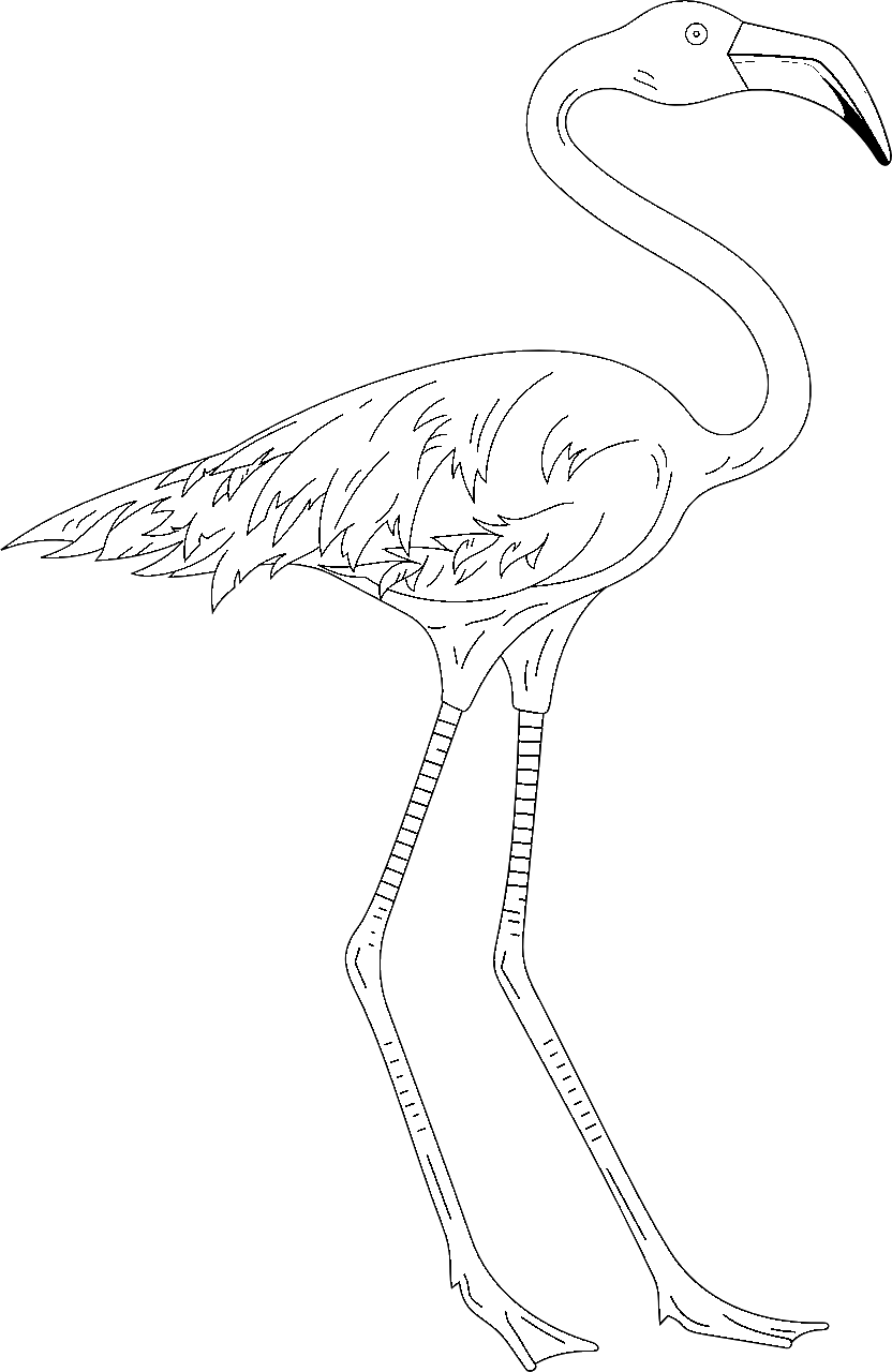 Kleurplaat van een flamingo