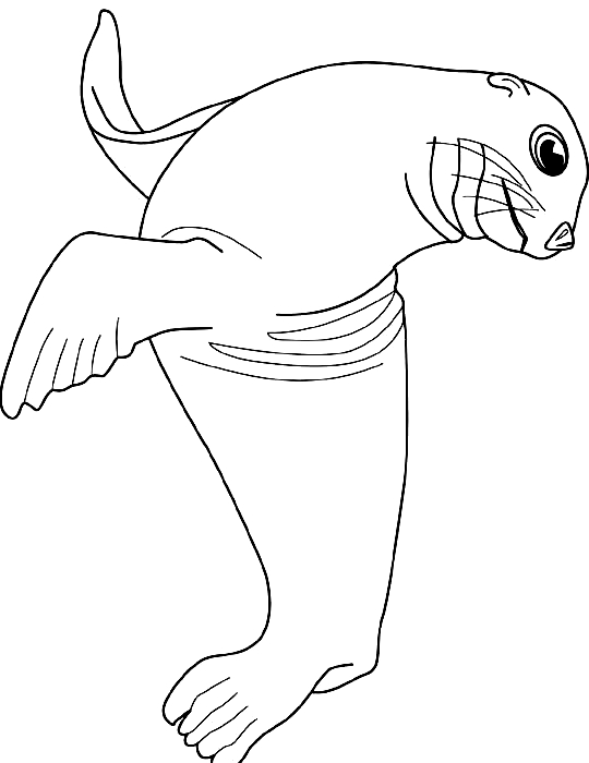 Drawing 8 from Seals coloring page to print and coloring