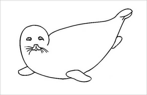 Drawing 20 from Seals coloring page to print and coloring