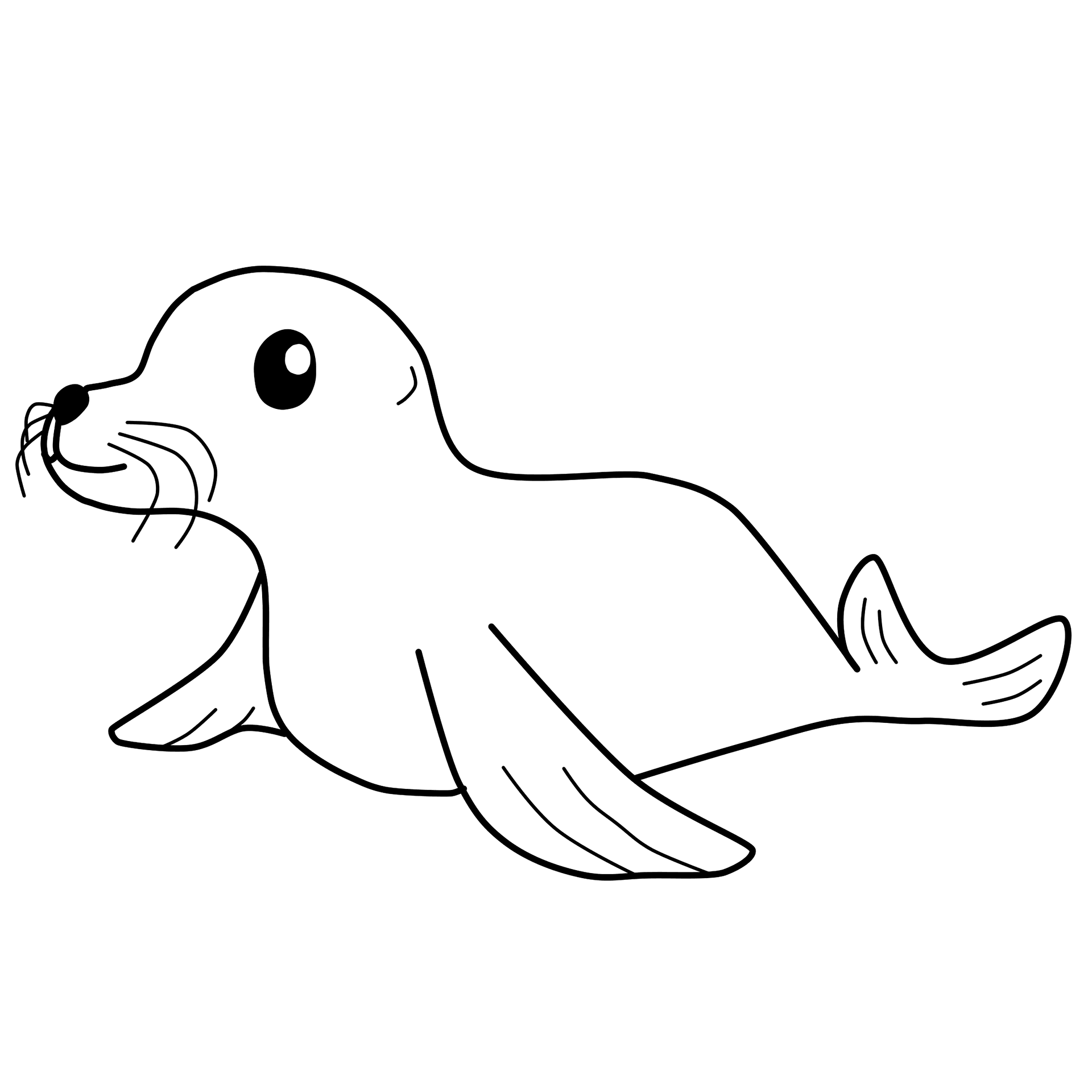 Coloring page of a seal