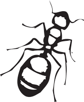 Dibujo de hormiga para colorear