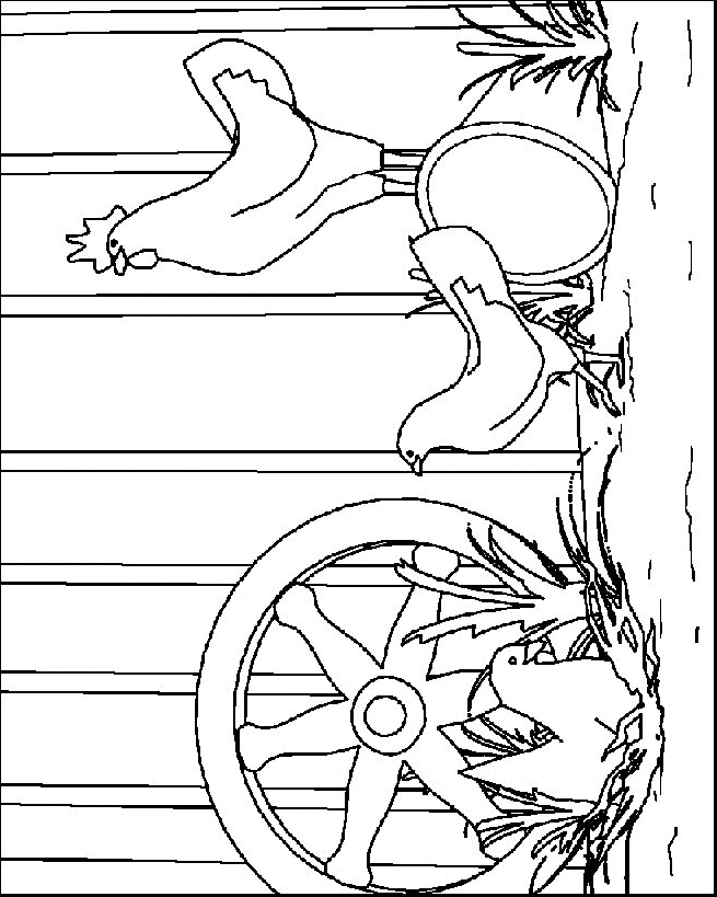 Drawing 13 from chickens coloring page to print and coloring