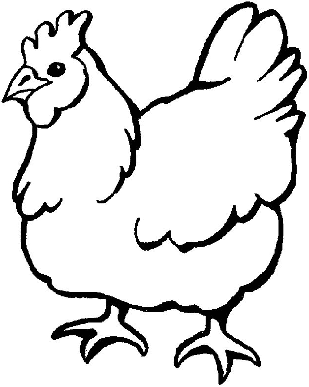 Desenho 19 de galinhas para imprimir e colorir