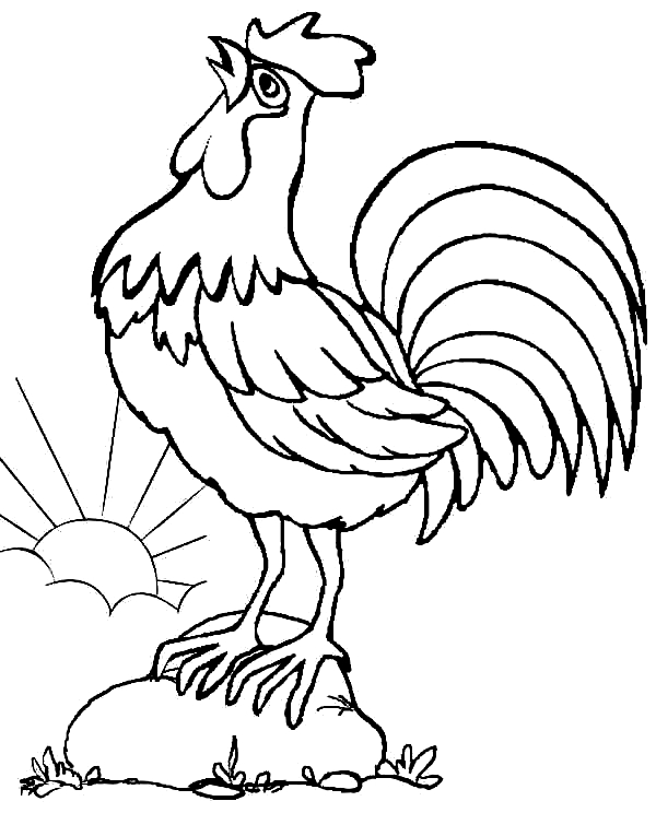 Disegno 23 di galline da stampare e colorare