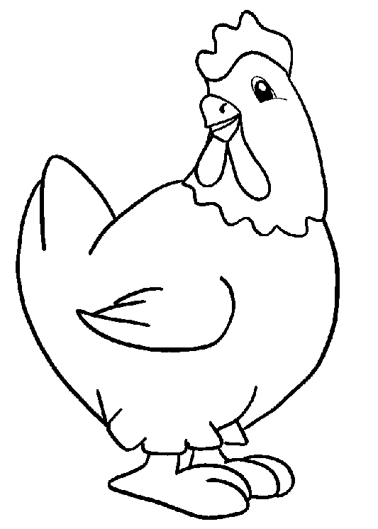 Dibujo 24 gallinas para imprimir y colorear