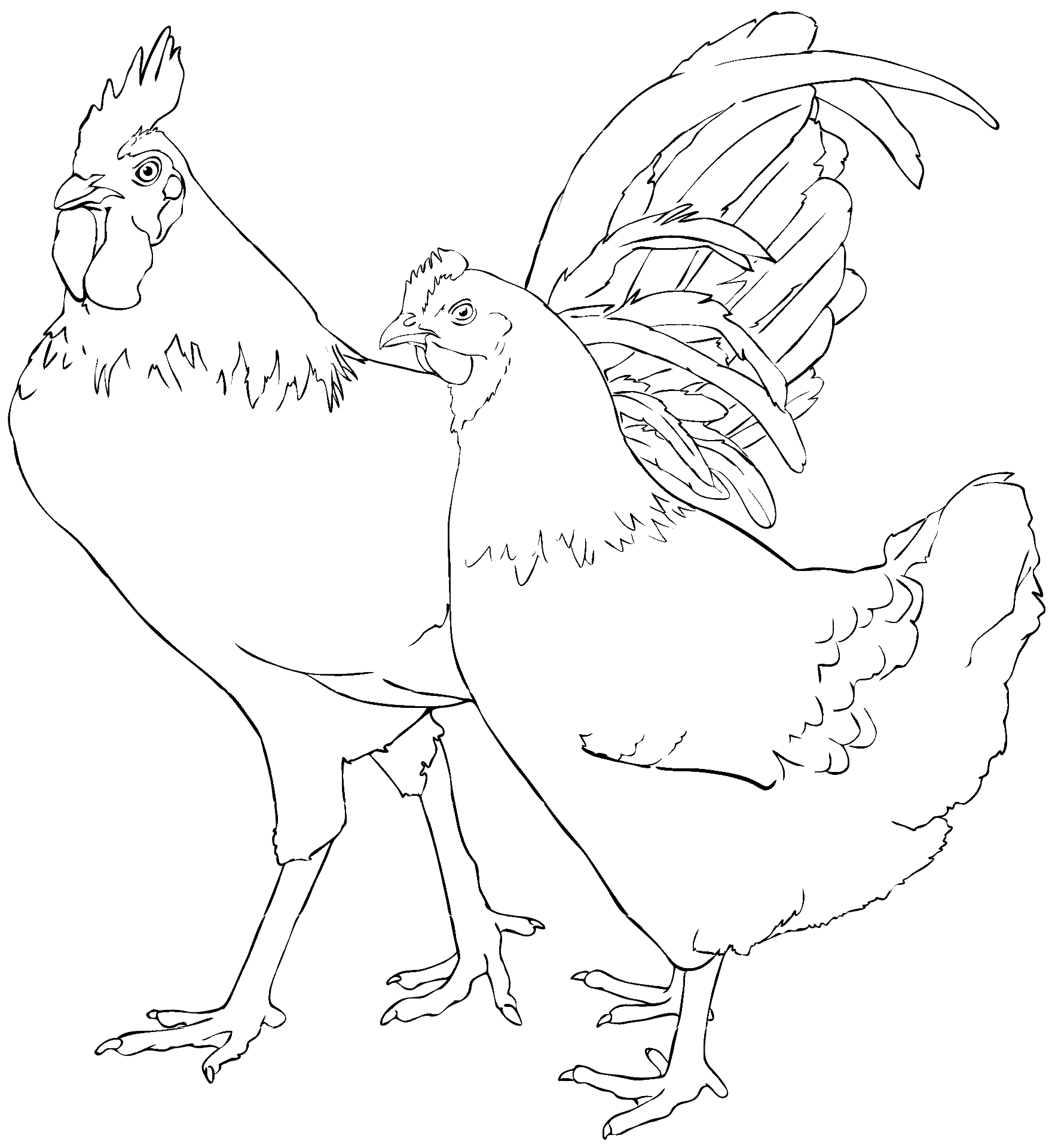 Disegno da colorare di una gallina