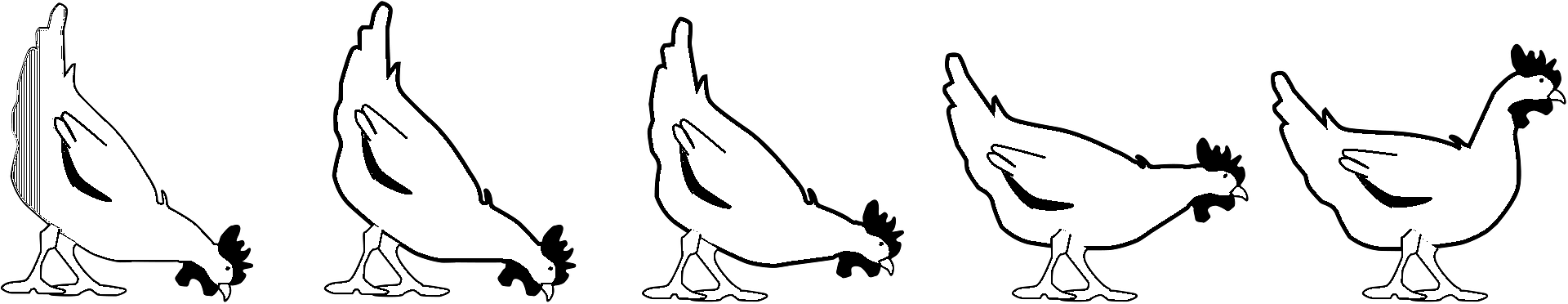 Coloring page of a hen