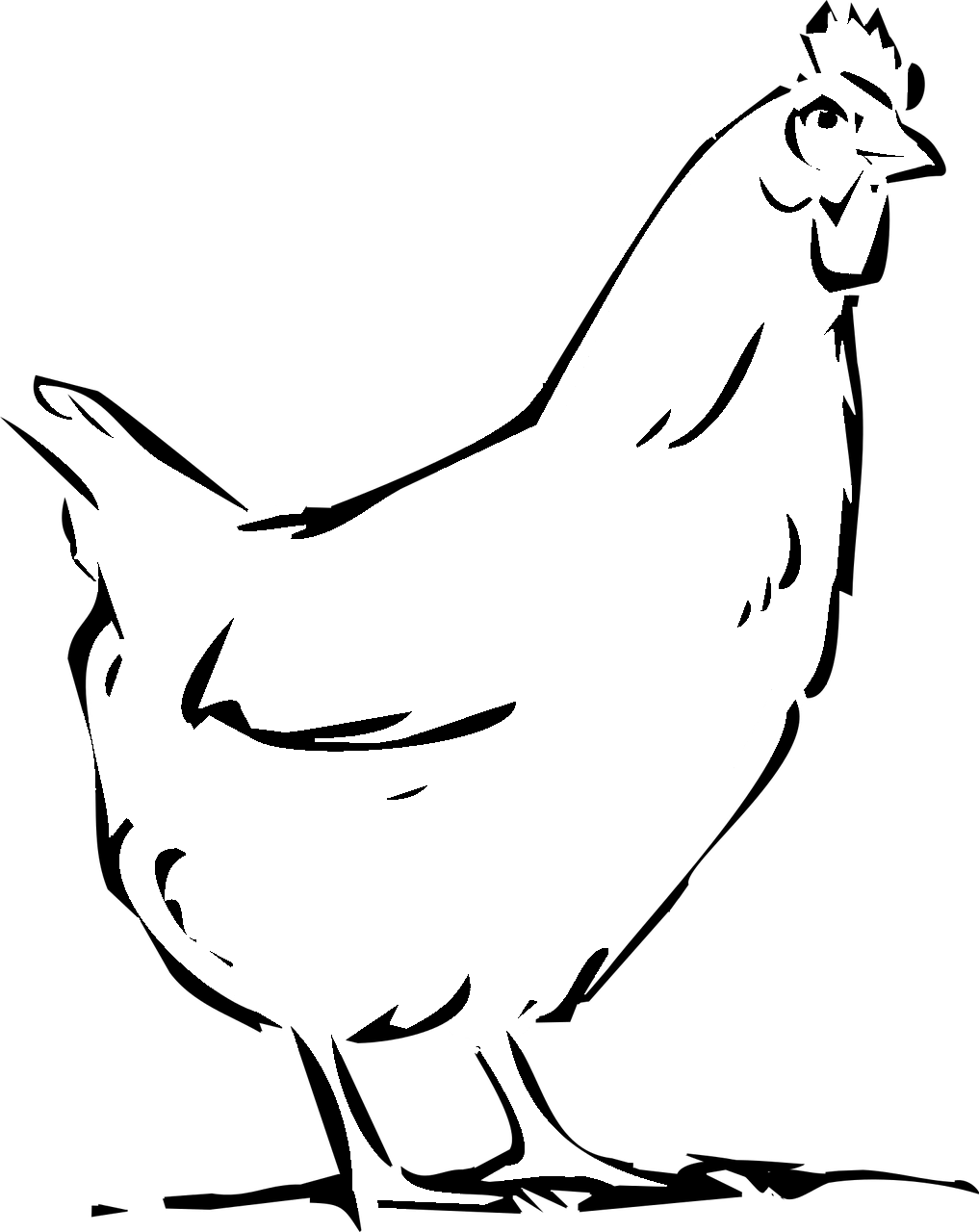 Coloring page of a hen