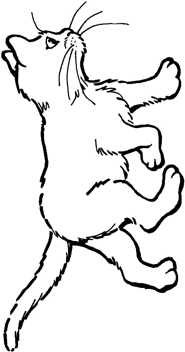 Drawing 5 from Cats coloring page to print and coloring