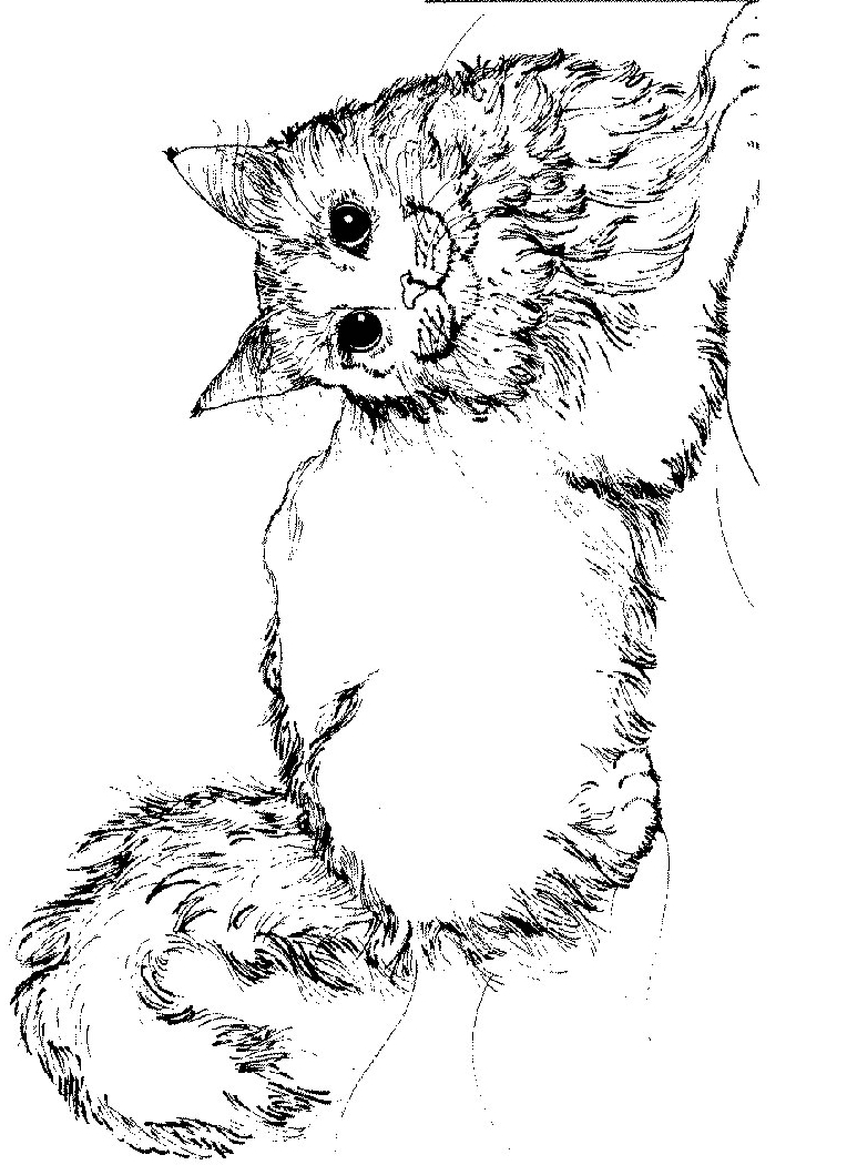 Drawing 9 from Cats coloring page to print and coloring