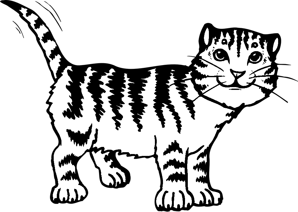 Disegno da colorare di gatto tigrato
