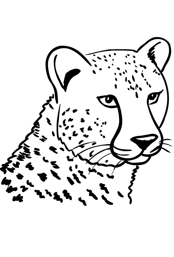 Cheetahs målarbok för tryckning och färg