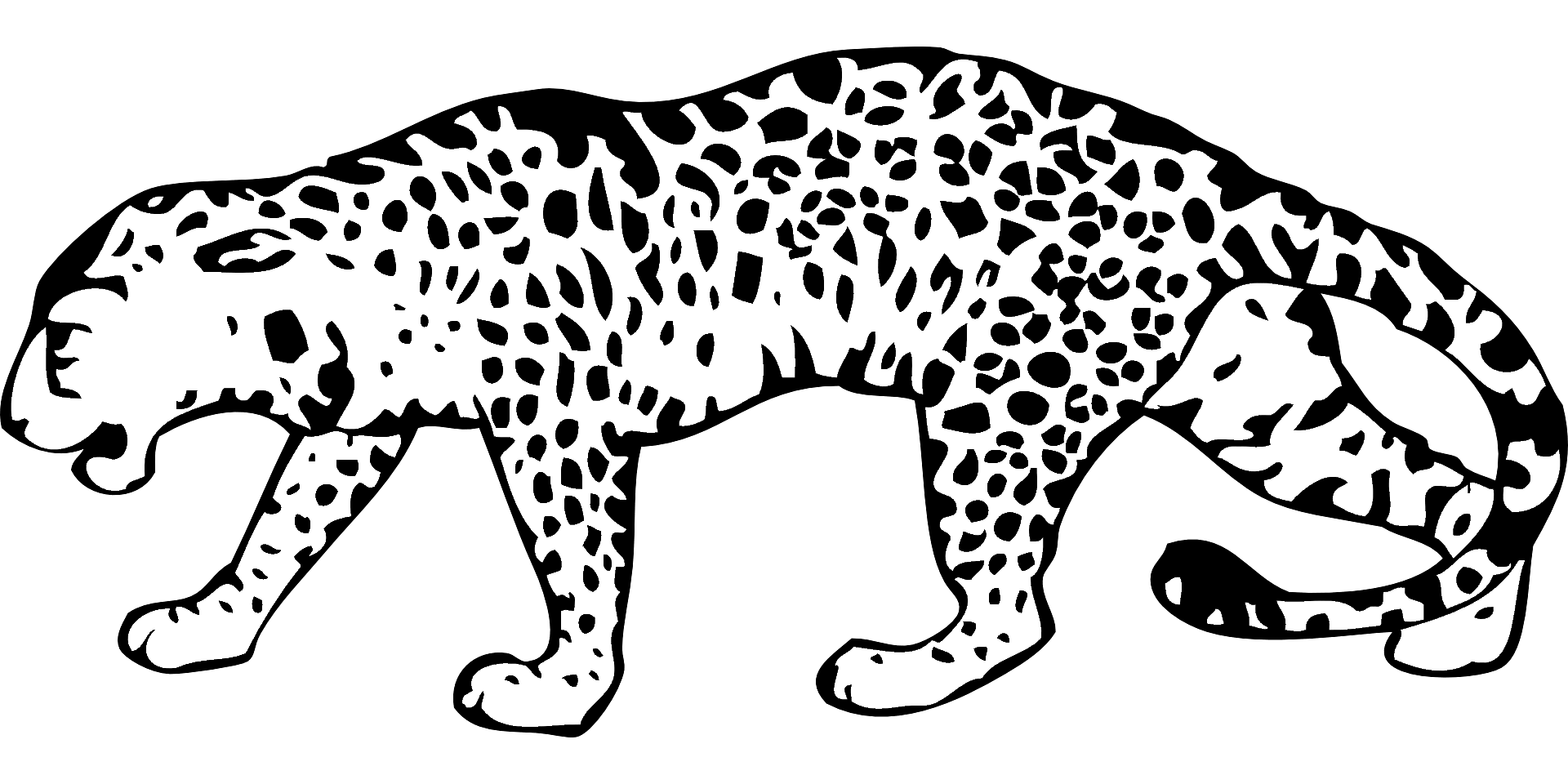 Coloring page of a cheetah