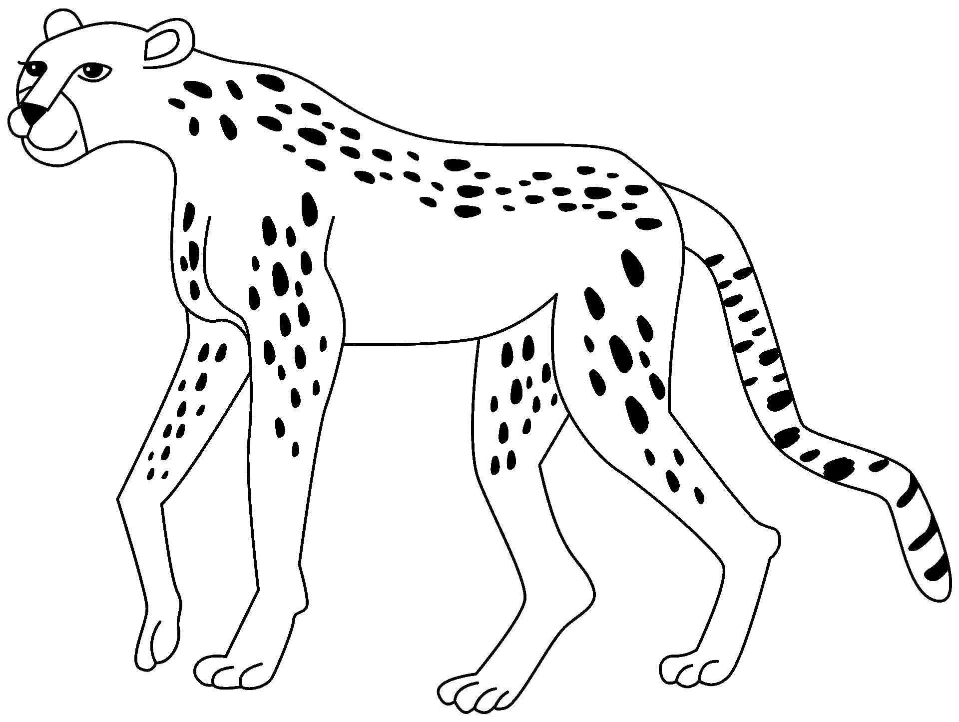 Coloring page of a cheetah
