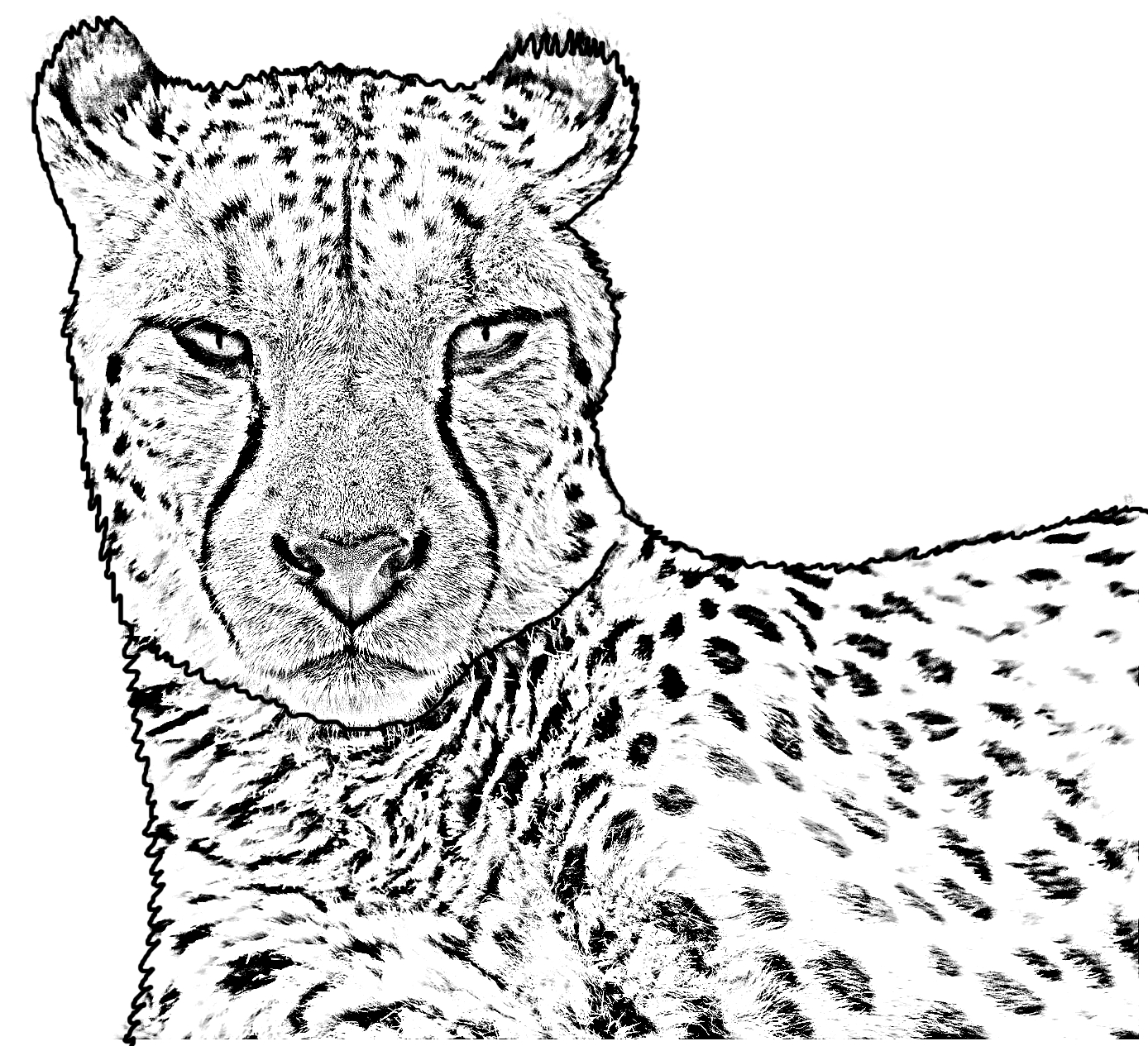 Målarbok av en gepard