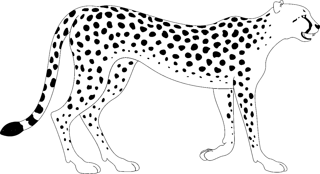 Disegno da colorare di ghepardo di profilo che cammina